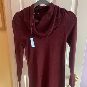 Maroon Sweater Dress LOFT